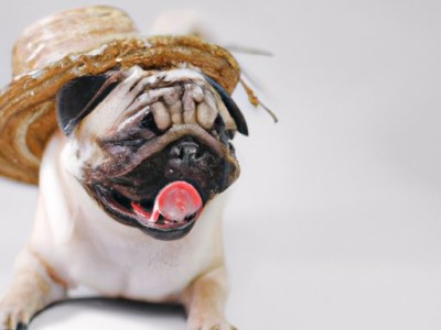 木楼梯装修效果图-打造温馨舒适的家居环境