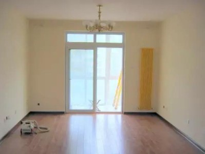 田野罂粟(田野罂粟花)