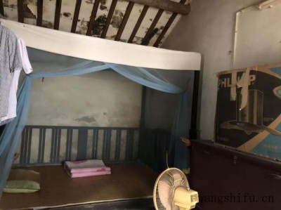 玉翁(玉翁仙人球的养殖方法和注意事项)