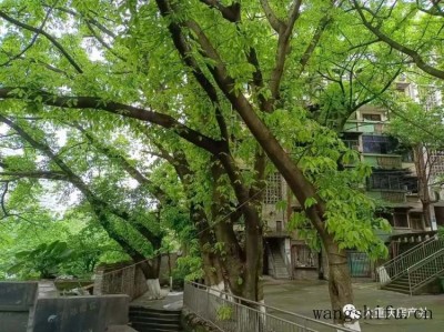 合租房用哪个宽带好（合租房装宽带怎么样比较方便）