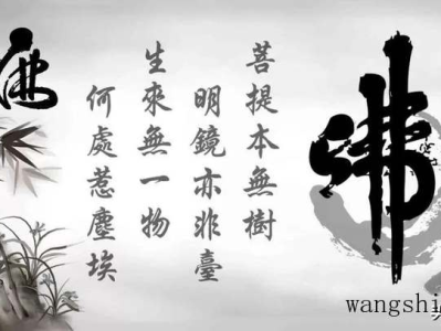 吊灯扶桑（吊灯扶桑花图片）