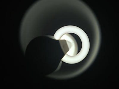 杜鹃花叶子干枯一碰就掉怎么补救?