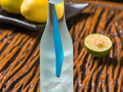 鸡尾酒：调酒的艺术与技巧