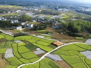 哪些情况下不予办理宅基地使用权登记