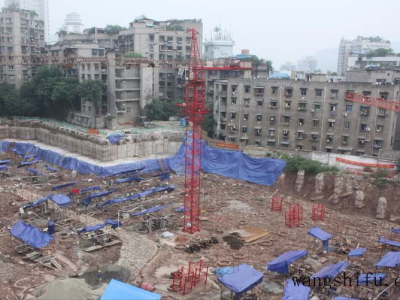 特玉莲(特玉莲的养殖方法和注意事项)