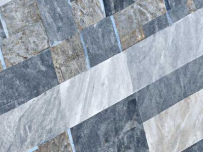 千年木(千年木的养殖方法和注意事项)