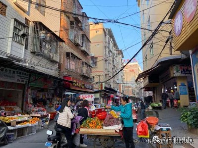 金牌（金牌橱柜属于几线品牌啊）