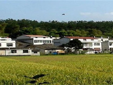 宅基地使用证怎么办理