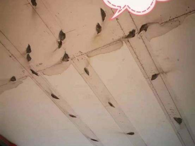 生态木吊顶：打造自然环保的装修选择