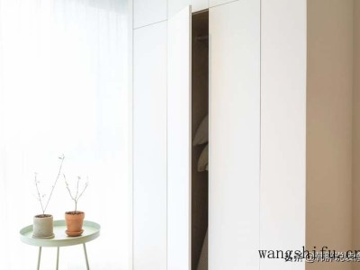 真瓷王哪个品牌好（真瓷王哪个品牌好用）