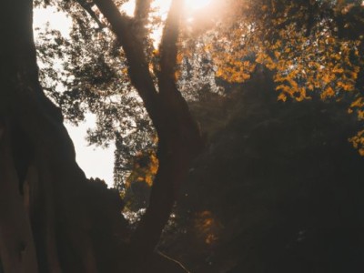 海绵哪个牌子好？刷碗海绵哪个牌子好？如何选择适合的海绵产品？