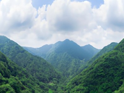 野山参的功效和吃法详解