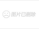贝树墙衣剖析墙衣创业成功的几个关键因素