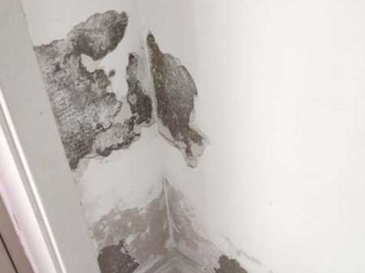 泰式风格