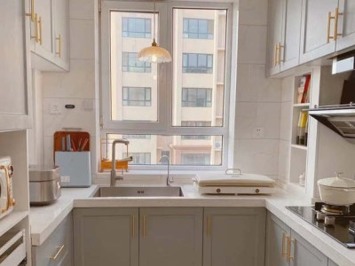 德高和汉高百得哪个好