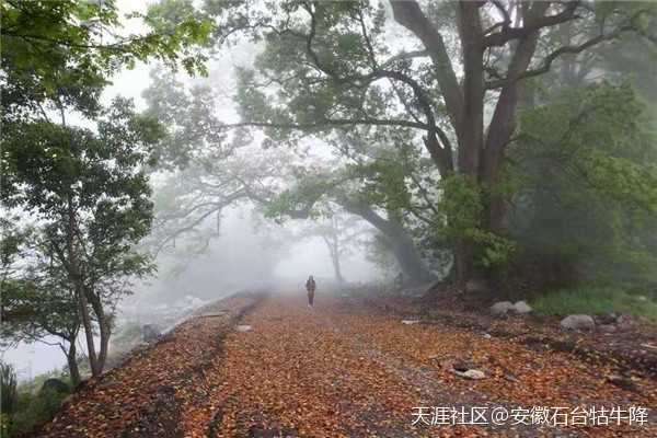 九月,送你一波超美壁纸 九月,送你一波超美壁纸