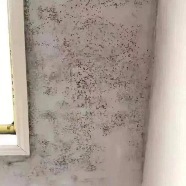 旧房墙面翻新上，业主们常见的几大误区