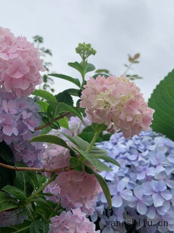 房间风水（房间风水布局禁忌）