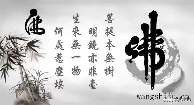 吊灯扶桑（吊灯扶桑花图片）