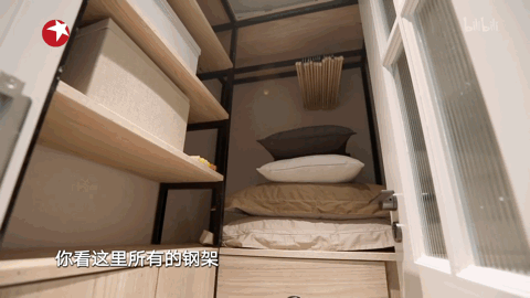 牵牛花（牵牛花图片大全大图）