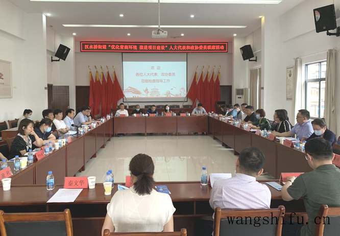 汉水桥街道开展“优化营商环境,推进项目建设”人大代表和政协委员联席活动 汉水桥街道开展“优化营商环境,推进项目建设”人大代表和政协委员联席活动