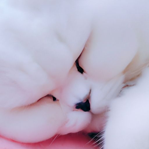 哪个省的床好