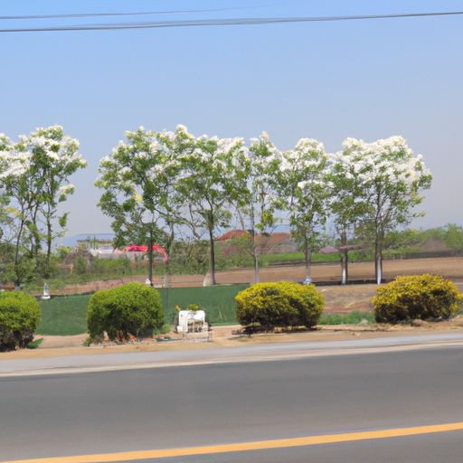 沁春园三村在哪个路上 沁春园三村在哪个路上