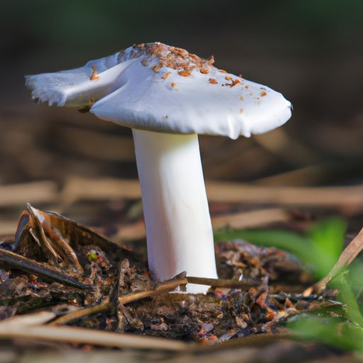 供暖时间几月到几月（供暖时间几月到几月2023）