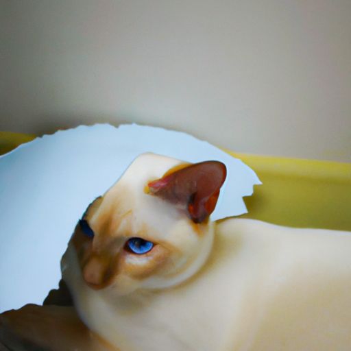 感应蹲便器