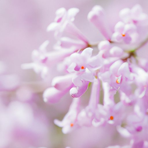 增压花洒