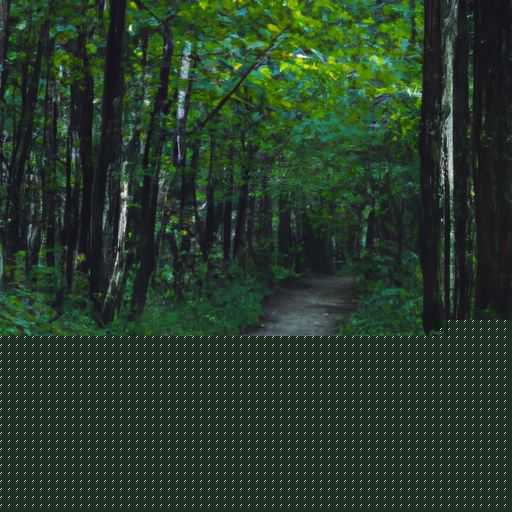 森林狼地板 森林狼地板