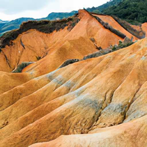 彩砂地坪 彩砂地坪
