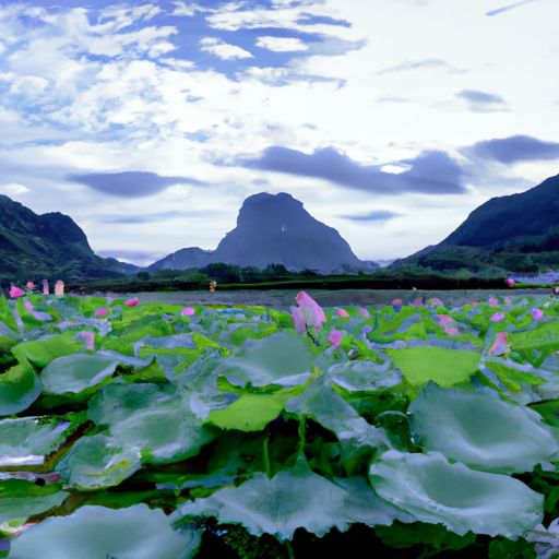 改性沥青 改性沥青