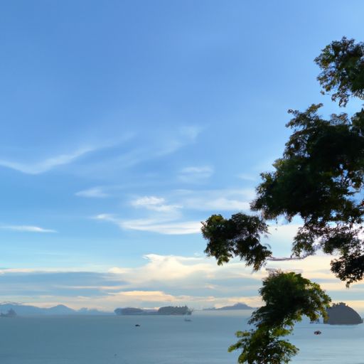 海绵是哪个国家的最好 海绵是哪个国家的最好