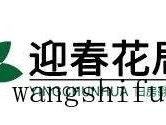 烂尾楼能自己进去装修住吗