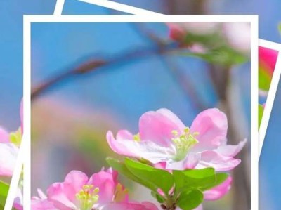 宅基地确权后可以买卖吗