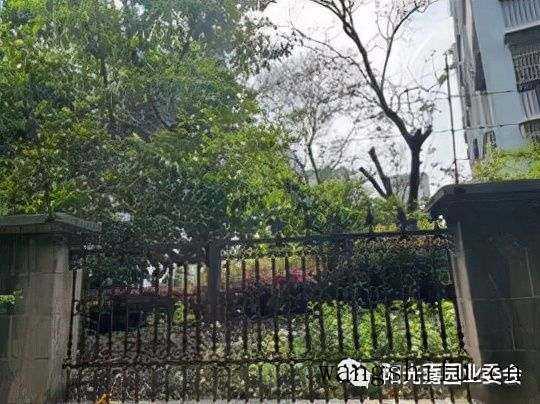 阳光嘉园2022老旧小区改造再出发 旧房翻新 第10张 阳光嘉园2022老旧小区改造再出发 旧房翻新 粉刷匠第10张 阳光嘉园2022老旧小区改造再出发 旧房翻新 第10张 阳光嘉园2022老旧小区改造再出发 旧房翻新 粉刷匠第10张